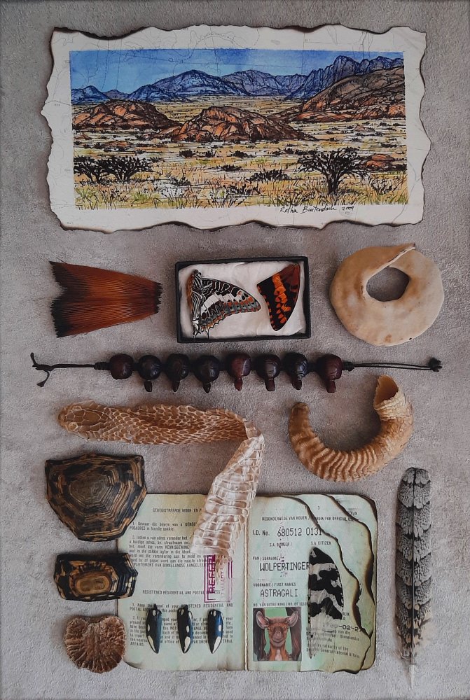 Retha Buitendach - Curiosity Cabinet 2